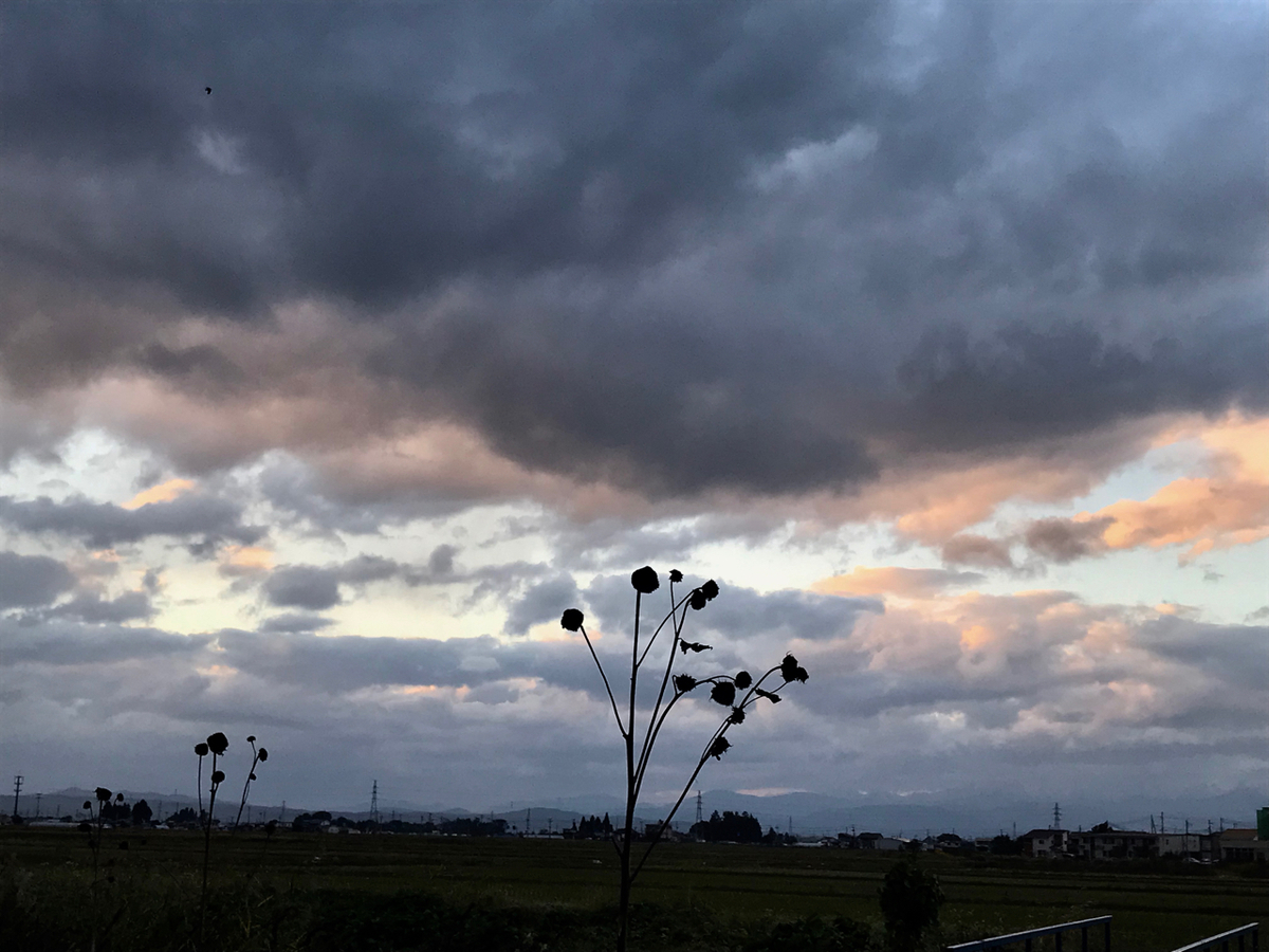 f:id:bochibochidou:20211023202228j:plain