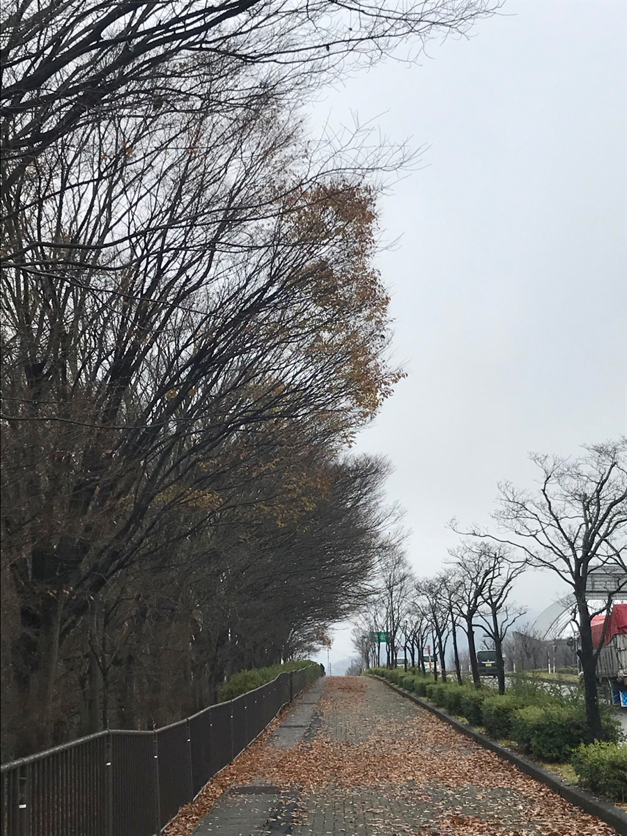 f:id:bochibochidou:20211208201222j:plain