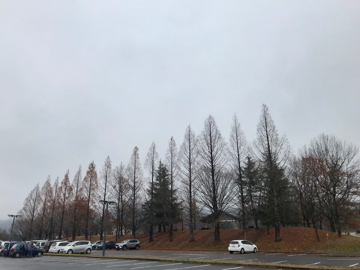 f:id:bochibochidou:20211208201515j:plain