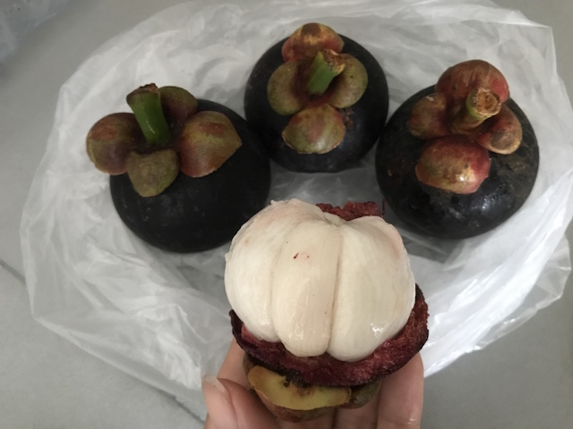 f:id:bochibochika:20170529142121j:plain f:id:bochibochika:20170529142121j:plain