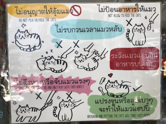 f:id:bochibochika:20180119004735j:plain f:id:bochibochika:20180119004735j:plain