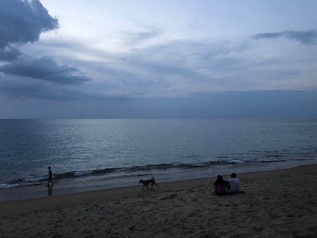 f:id:bochibochika:20180211193646j:plain f:id:bochibochika:20180211193646j:plain