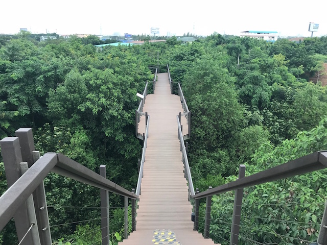 f:id:bochibochika:20180801013420j:plain f:id:bochibochika:20180801013420j:plain