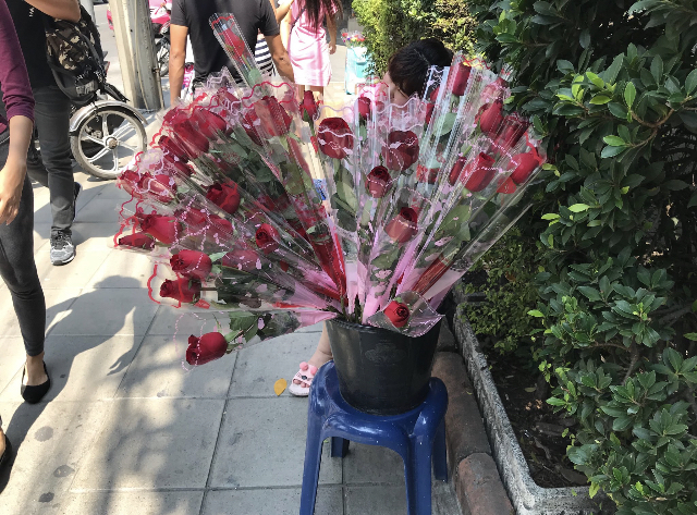 f:id:bochibochika:20200215034903j:plain