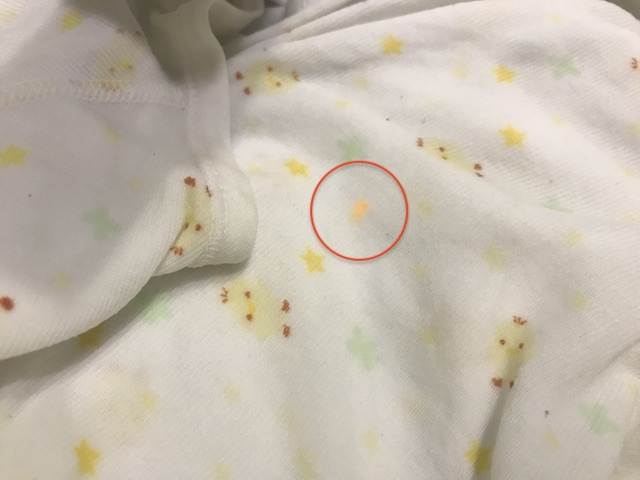 f:id:bochibochika:20200411020627j:plain f:id:bochibochika:20200411020627j:plain