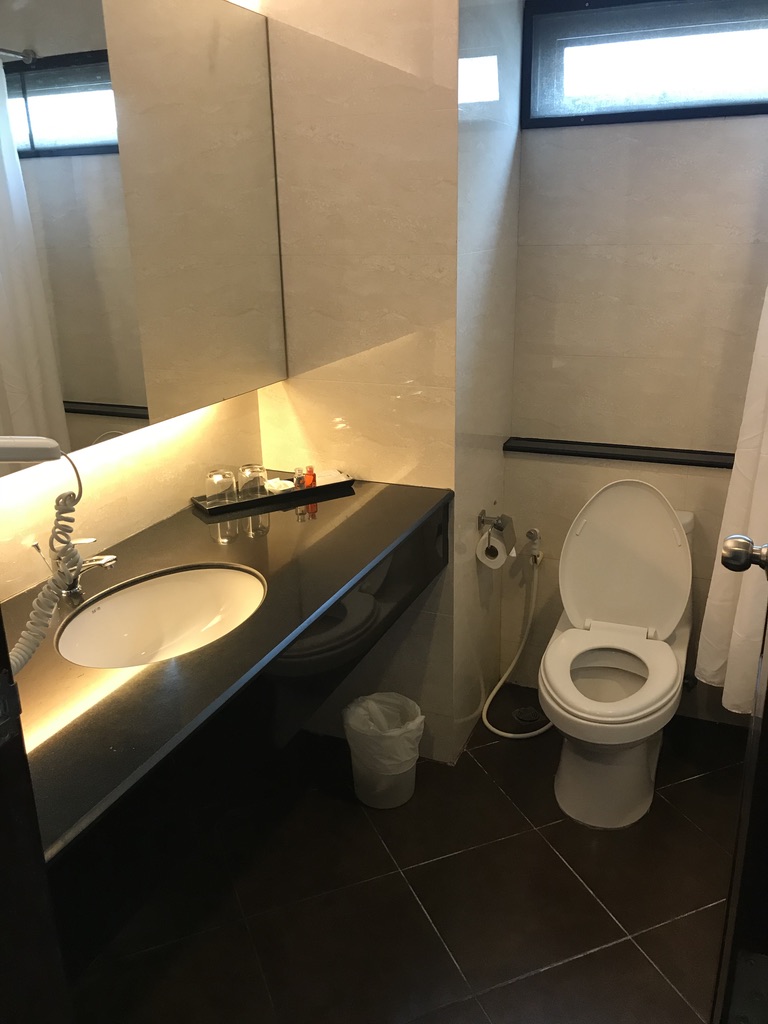 f:id:bochibochika:20200729153224j:plain f:id:bochibochika:20200729153224j:plain