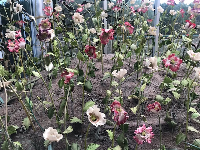 f:id:bochibochika:20210125171355j:plain
