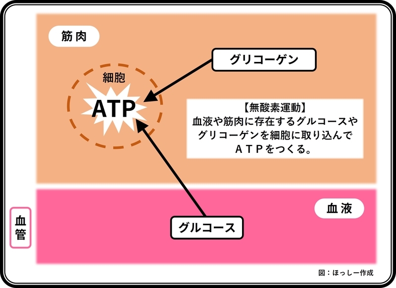 f:id:bodybase:20220106201551j:plain