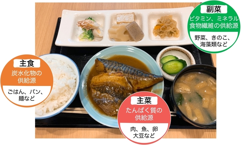主食、主菜、副菜で構成されるバランスの良い食事の写真