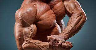 f:id:bodymakeman:20220124205042j:plain