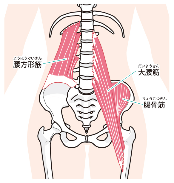 f:id:bodymakerpt:20190722231555j:plain