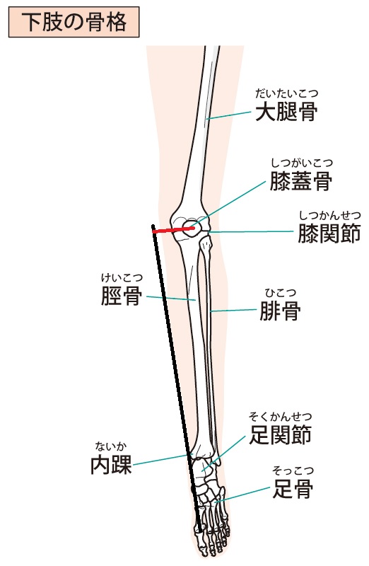 f:id:bodymakerpt:20190728003353j:plain f:id:bodymakerpt:20190728003353j:plain