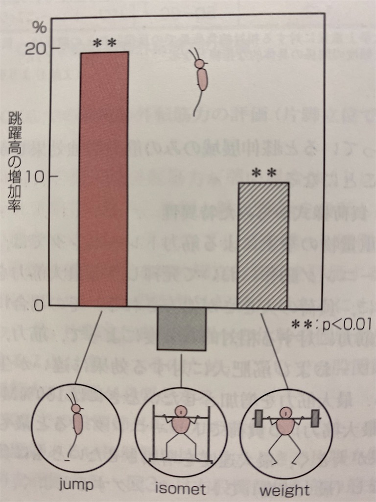 f:id:bodymakerpt:20200111184139j:image