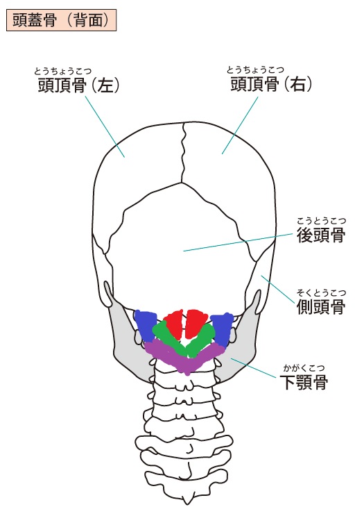 f:id:bodymakerpt:20200409220508j:plain