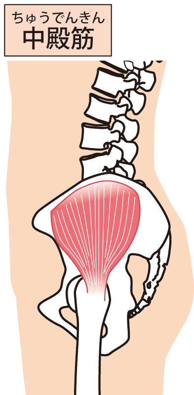 中 殿 筋 押す と 痛い