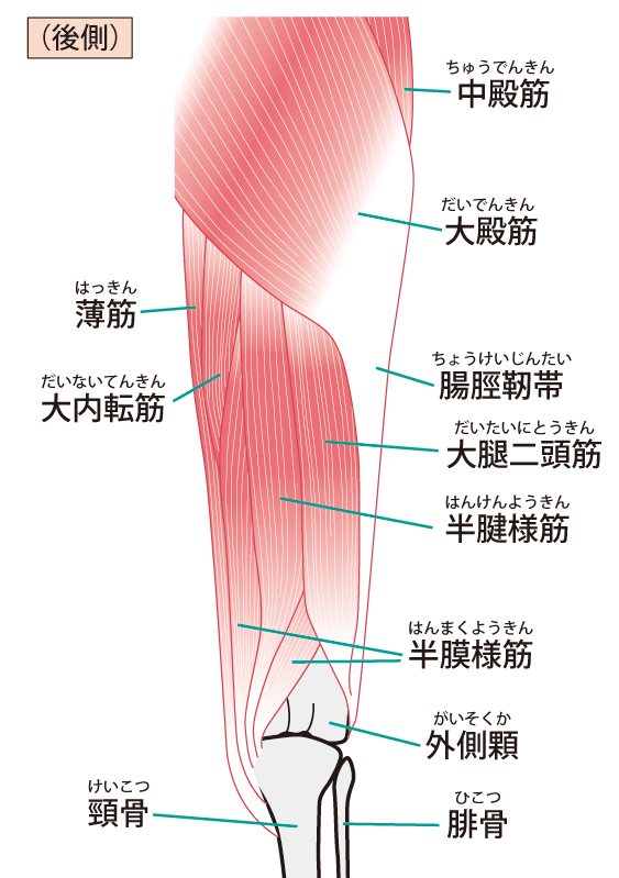 大殿 筋 歩行