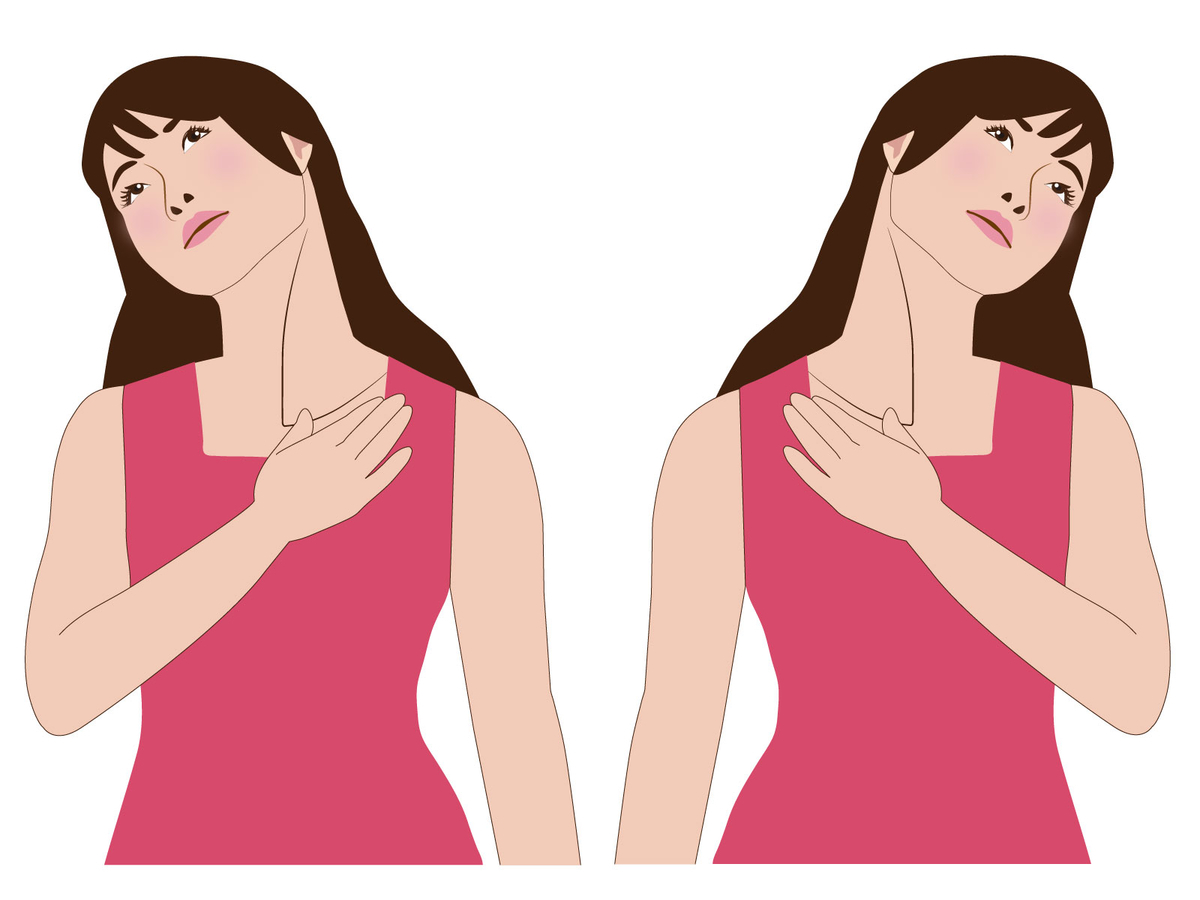 f:id:bodymakerpt:20200615214407j:plain