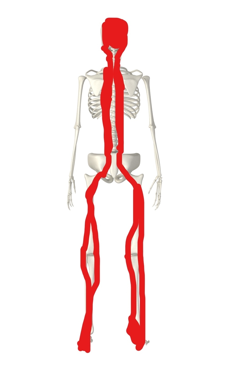 f:id:bodymakerpt:20200727232815j:plain