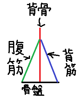 f:id:bodymakerpt:20200728213324p:plain