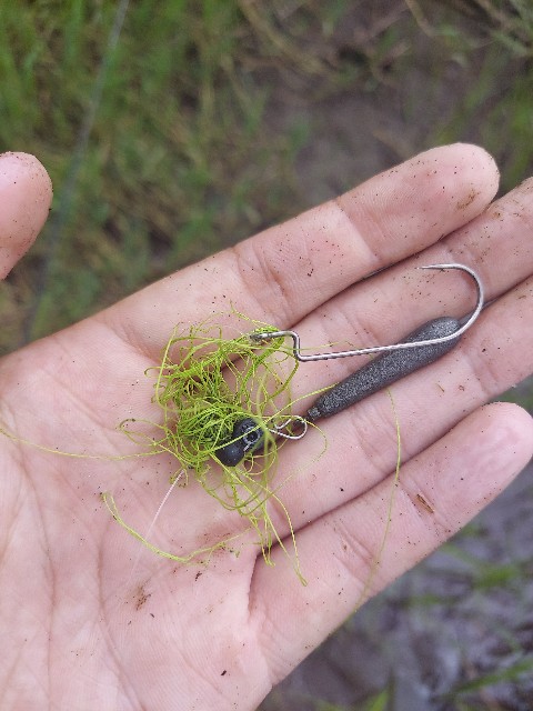 f:id:bognerbream:20210706003756j:image
