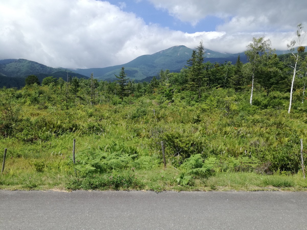 f:id:bohol:20190818210820j:plain