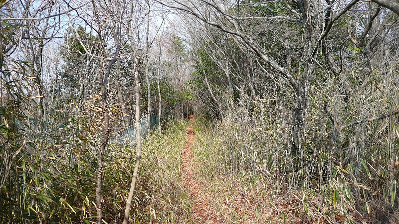 f:id:boianuf:20120217102606j:image f:id:boianuf:20120217102606j:image
