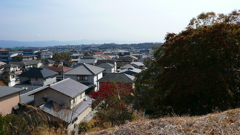 f:id:boianuf:20120217103644j:image