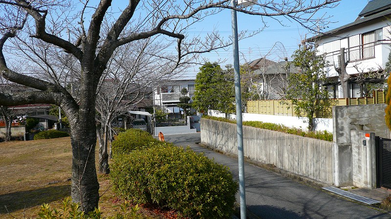 f:id:boianuf:20120217103925j:image