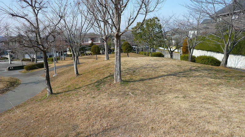 f:id:boianuf:20120217103926j:image