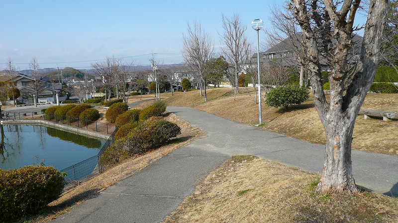 f:id:boianuf:20120217103928j:image