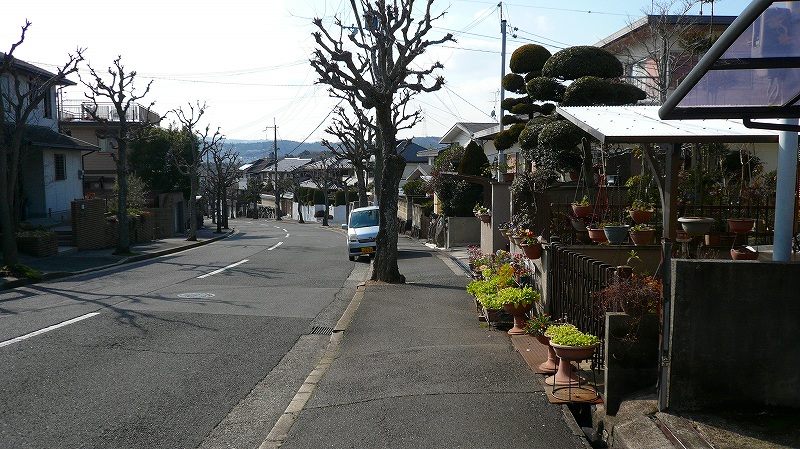 f:id:boianuf:20120217103933j:image