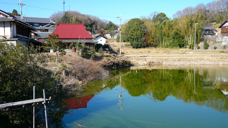 f:id:boianuf:20120221084701j:image