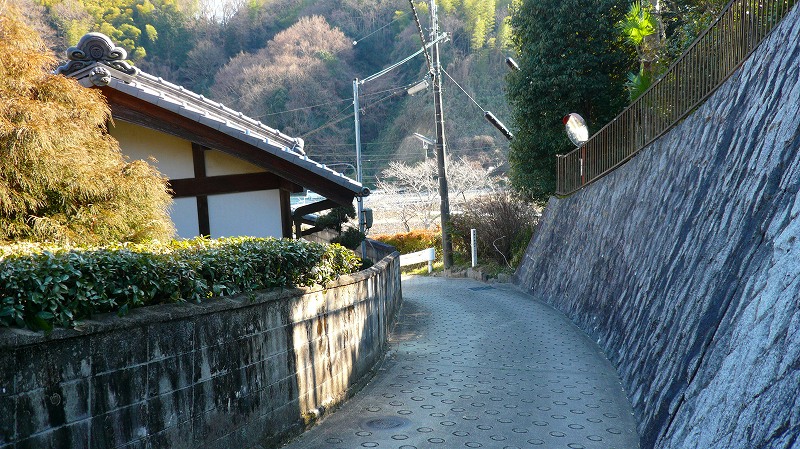 f:id:boianuf:20120221085345j:image