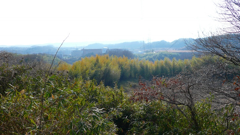 f:id:boianuf:20120224172011j:image