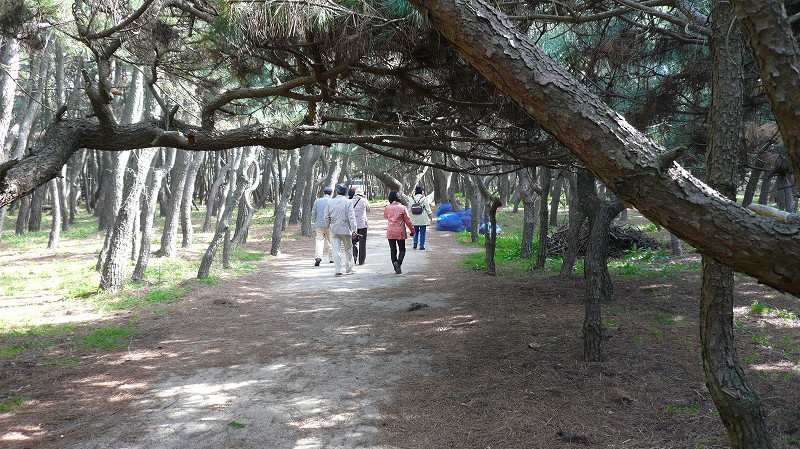 f:id:boianuf:20120406095015j:image