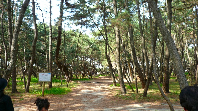 f:id:boianuf:20120406095016j:image