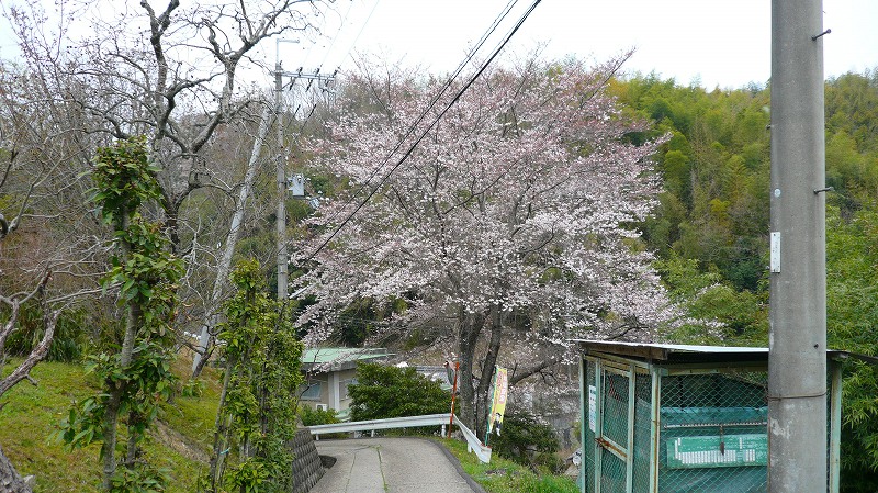 f:id:boianuf:20120411153422j:image