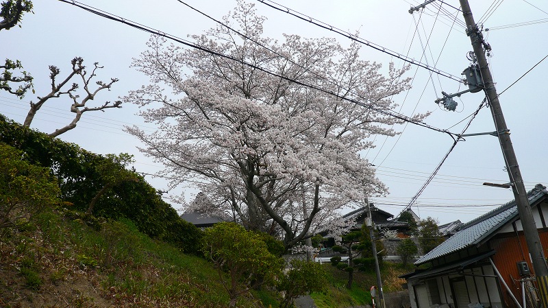 f:id:boianuf:20120411153423j:image