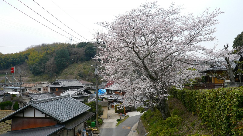 f:id:boianuf:20120411153424j:image