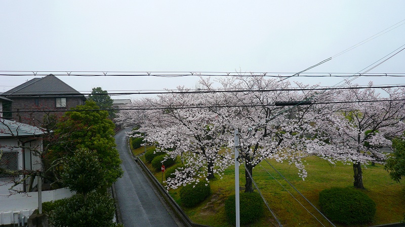 f:id:boianuf:20120411154832j:image