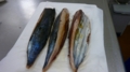 f:id:boianuf:20120426124939j:image:medium f:id:boianuf:20120426124939j:image:medium