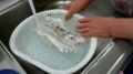 f:id:boianuf:20120426124941j:image:medium
