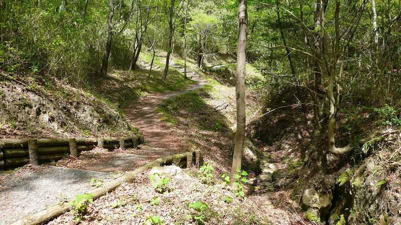 f:id:boianuf:20120428164632j:image