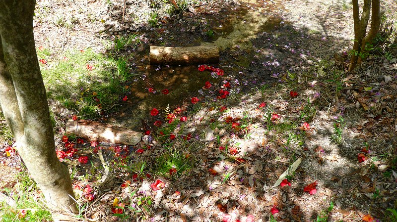 f:id:boianuf:20120428164633j:image
