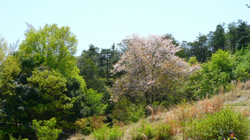 f:id:boianuf:20120428164634j:image