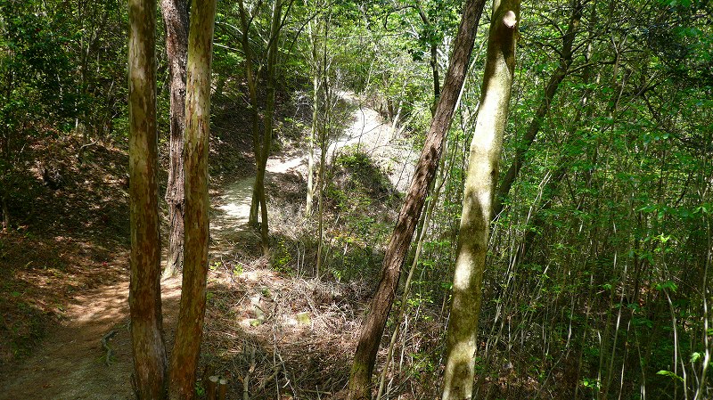 f:id:boianuf:20120428164637j:image