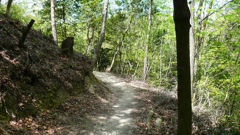 f:id:boianuf:20120428164638j:image
