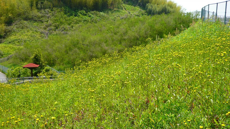 f:id:boianuf:20120517162521j:image