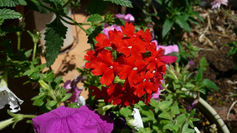 f:id:boianuf:20120607195920j:image