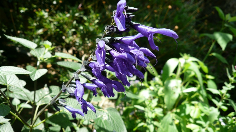 f:id:boianuf:20120607195922j:image